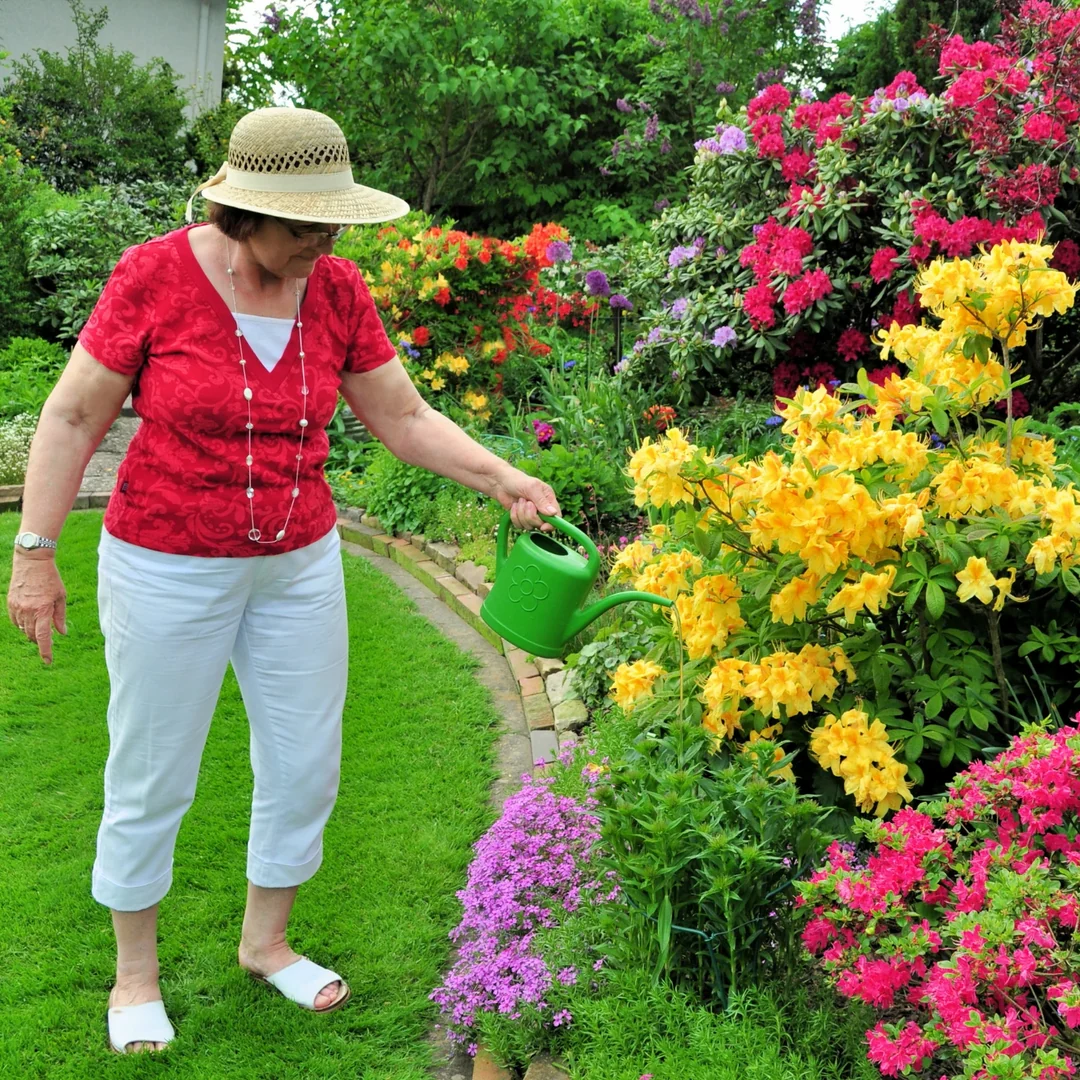 Woman in straw hat watering vibrant yellow and pink flowering garden plants.