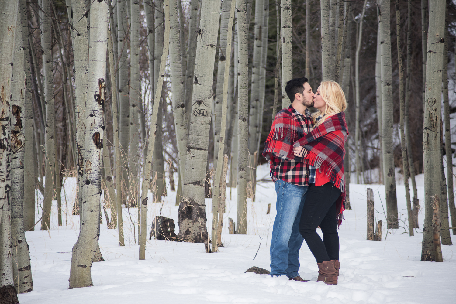 Engaged couple wrapped in a red plaid blanket kissing in a snowy aspen forest.