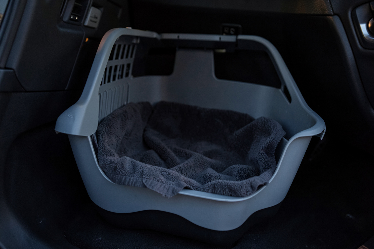 How to Safely Transport Your Dog and What the ER Does First, friscoemergencypetcare.com