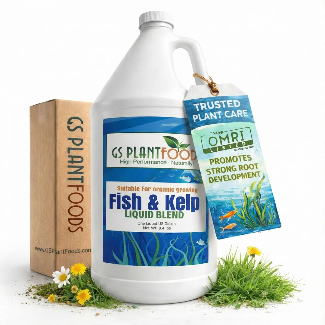 White gallon jug of GS Plant Foods Fish and Kelp Liquid Blend with box and grass.