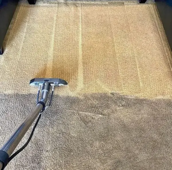 Carpet cleaning wand extracting dirt from a beige carpet.